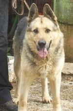 Ponukam na krytie NO