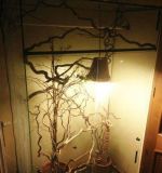 Predám 2 terária s 2 chameleonmi