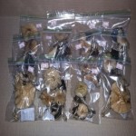 buy magic mushrooms online