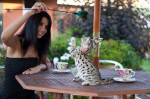 Mačiatka plemena Savannah potrebujú novú rodinu
